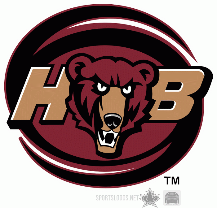 Hershey Bears 2003 04-2011 12 Secondary Logo iron on transfers for T-shirts
